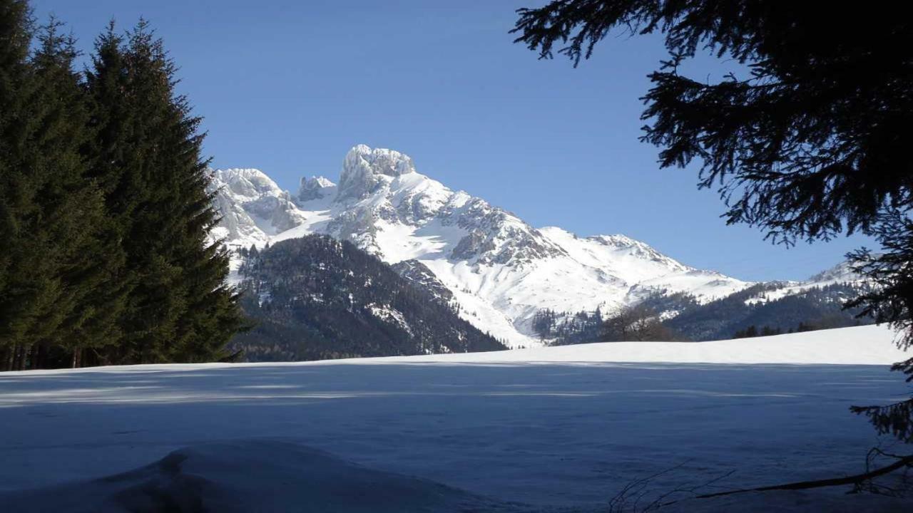 Berg Chalet Annaberg im Lammertal Buitenkant foto