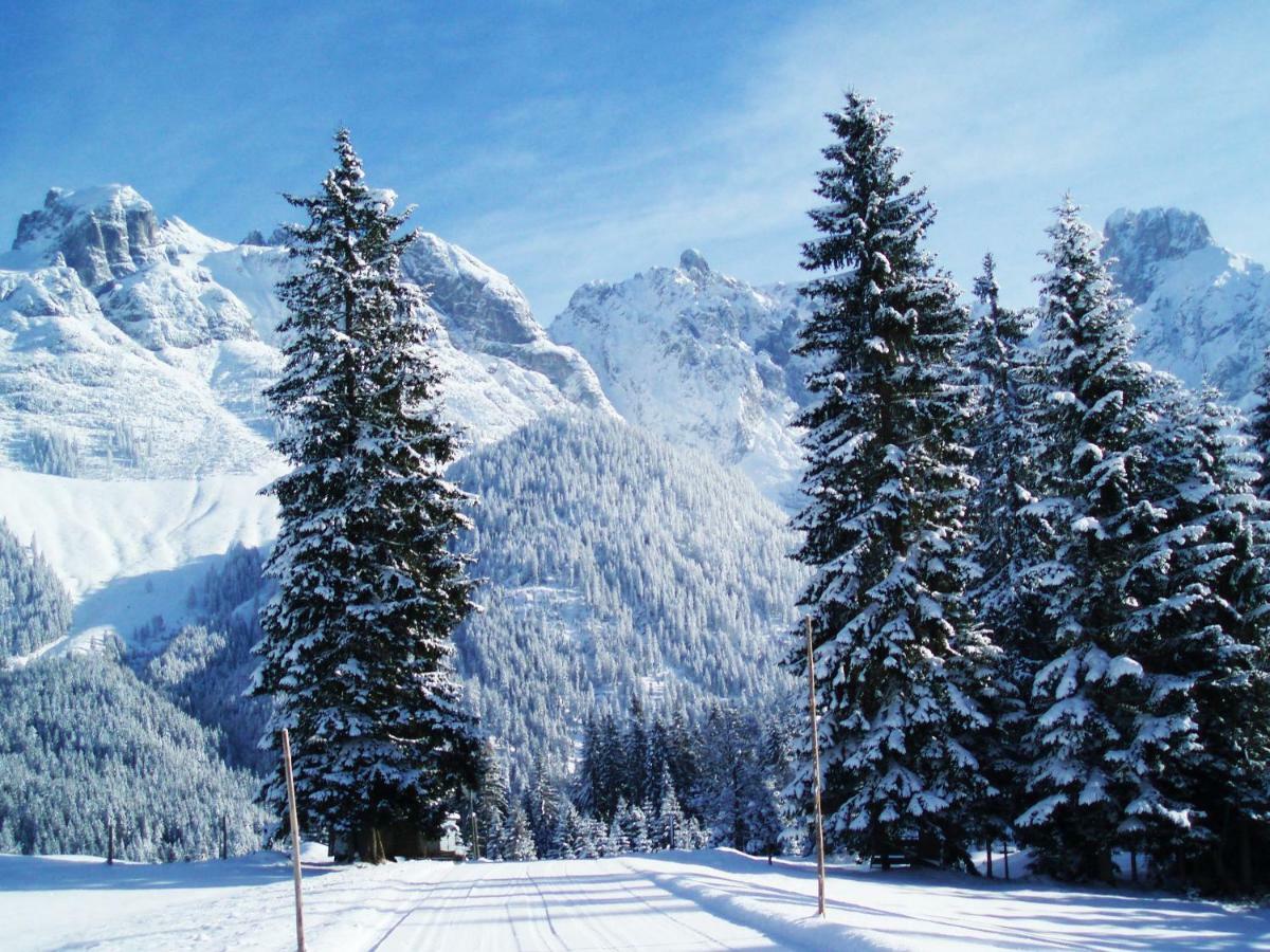Berg Chalet Annaberg im Lammertal Buitenkant foto
